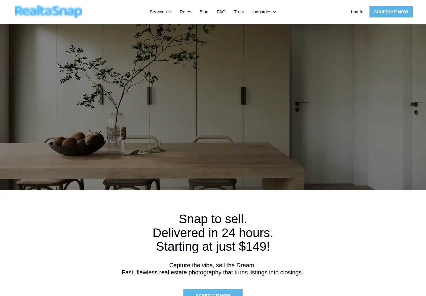 Screenshot of realtasnap.com
