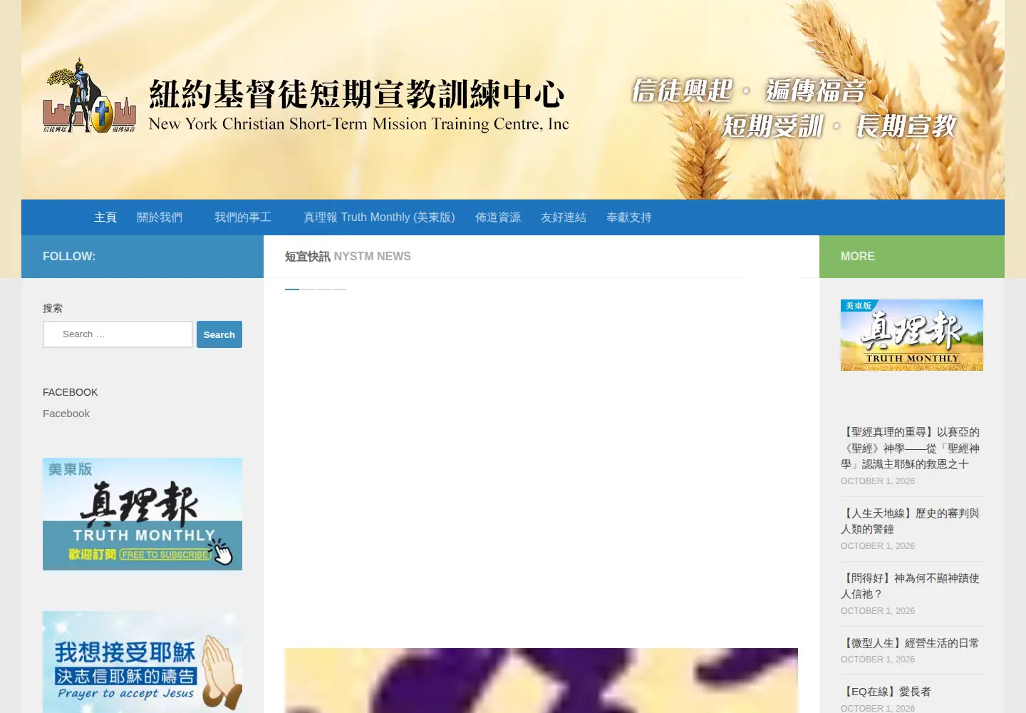 Screenshot of nystm.org