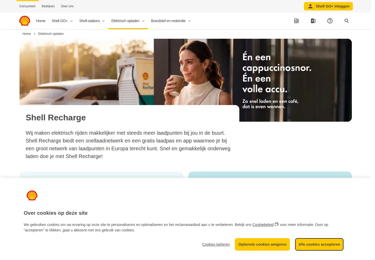 Captured homepage of shellrecharge.com in the current scan