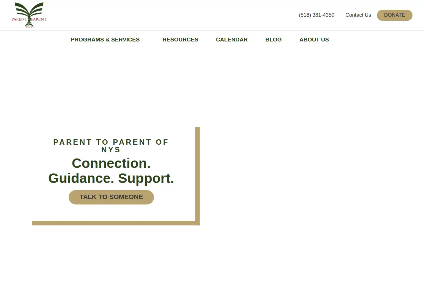 Screenshot of ptopnys.org