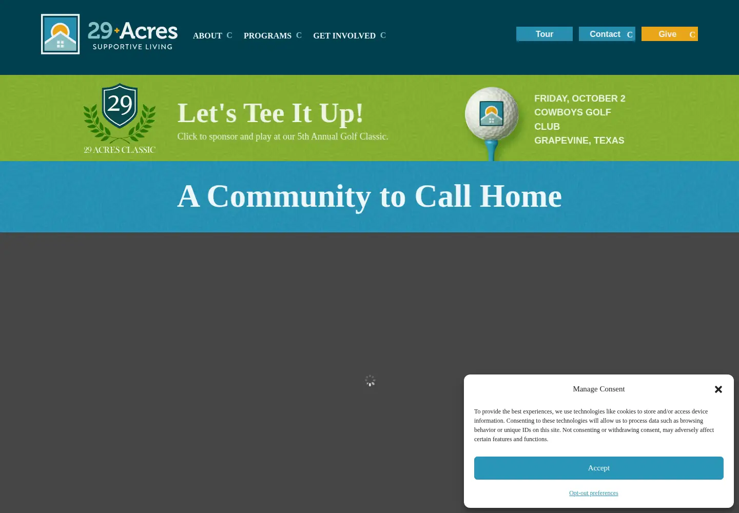 Captured homepage of 29acres.org in the current scan