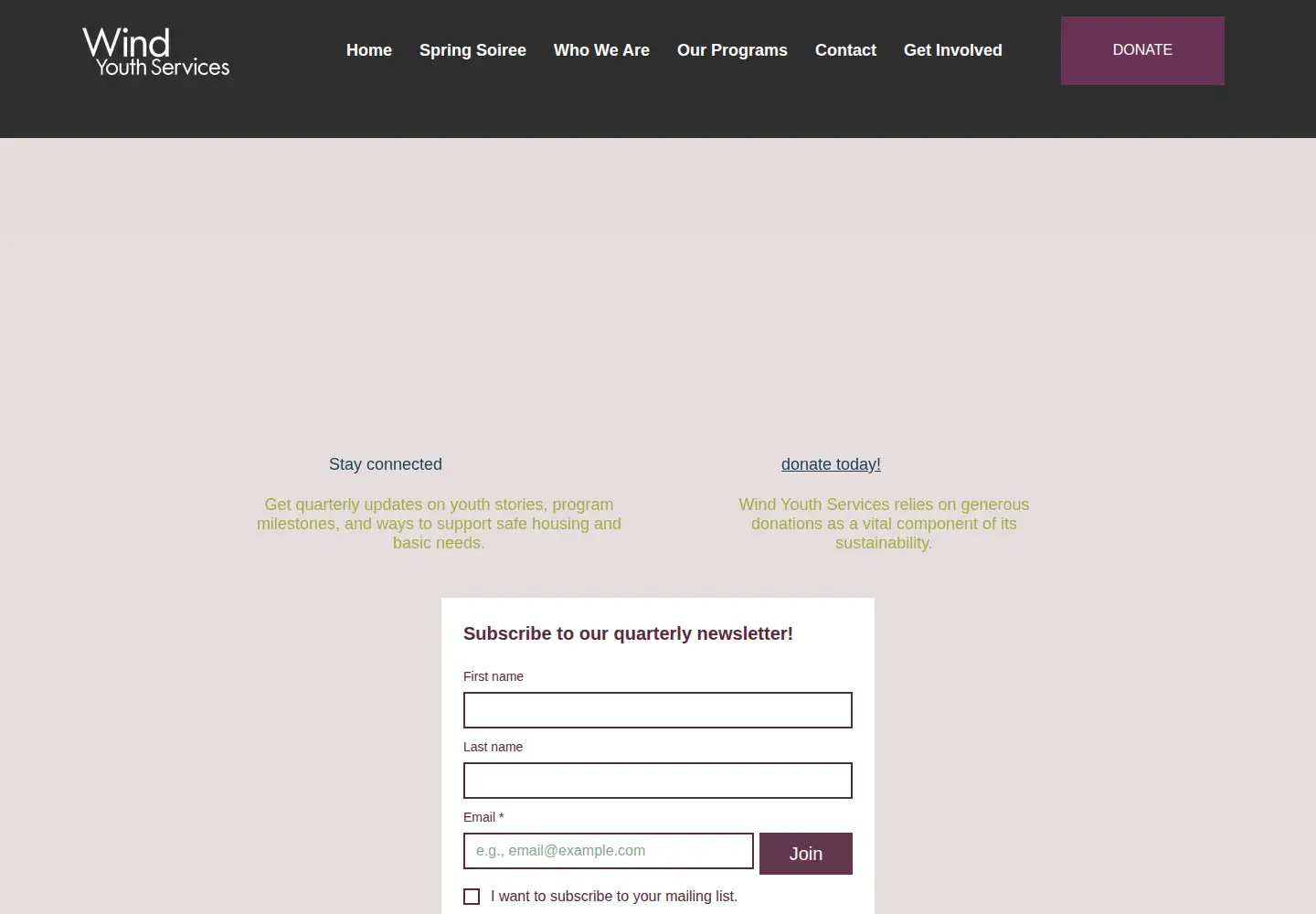 Screenshot of windyouthservices.org