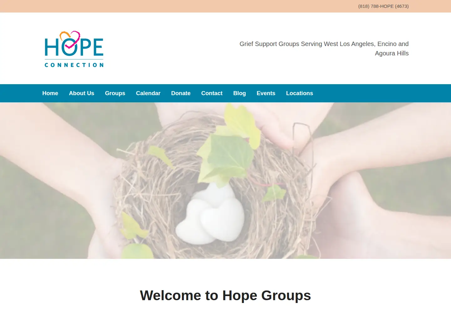 Screenshot of hopegroups.org