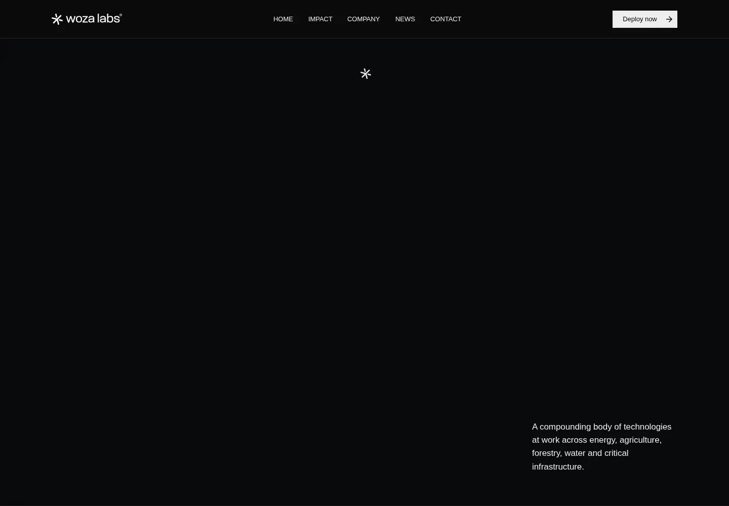 Screenshot of wozalabs.com