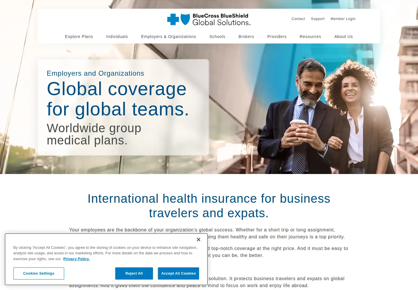 Captured homepage of geo-blue.com in the current scan