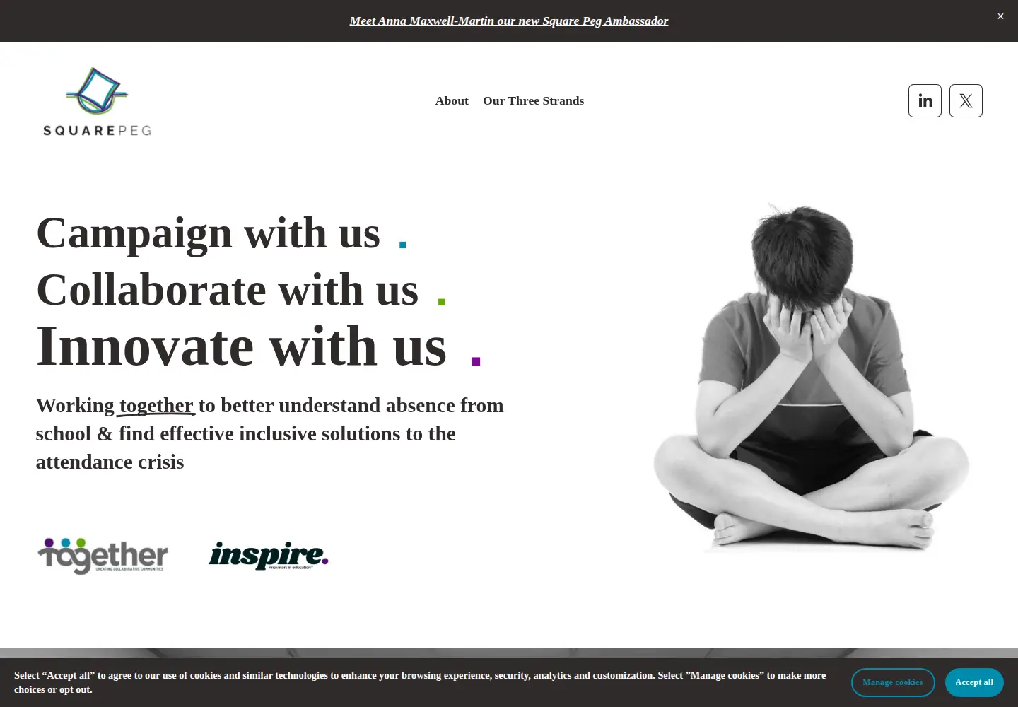 Screenshot of teamsquarepeg.org