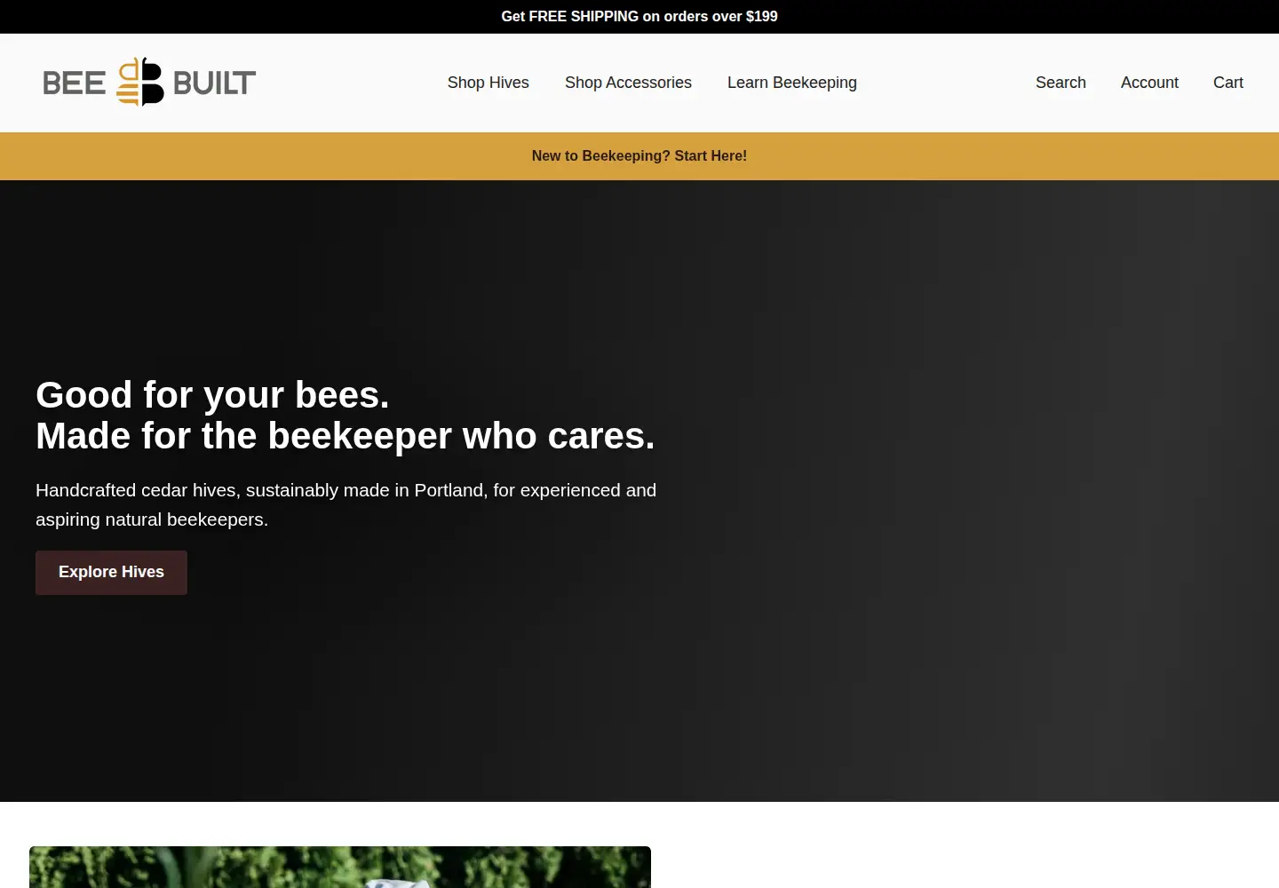 Captured homepage of beebuilt.com in the current scan