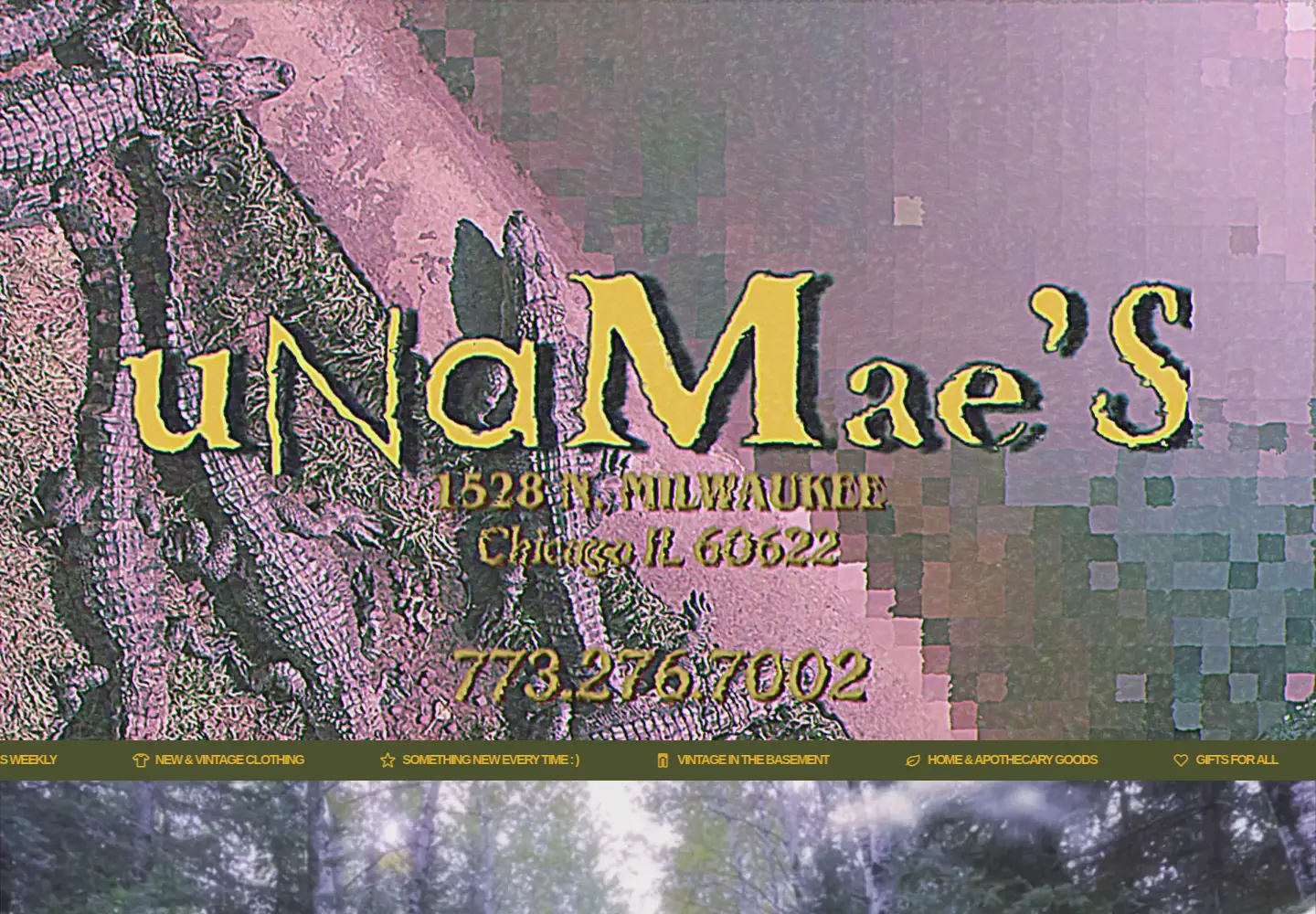 Screenshot of unamaeschicago.com