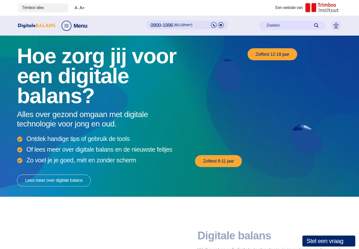Screenshot of digitalebalans.nl
