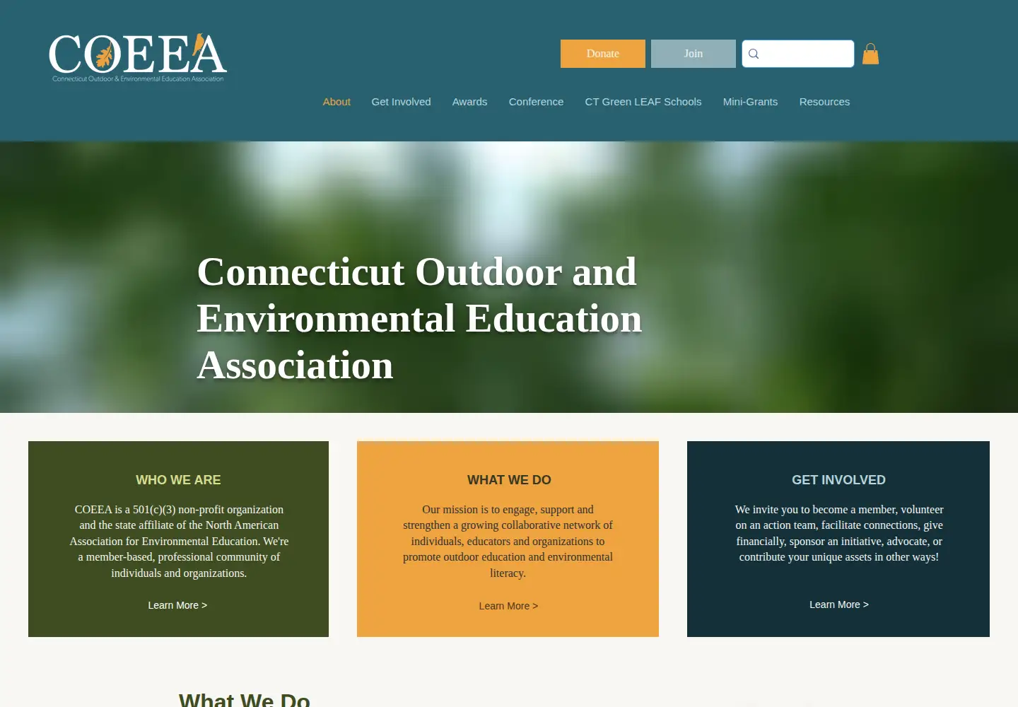 Screenshot of coeea.org