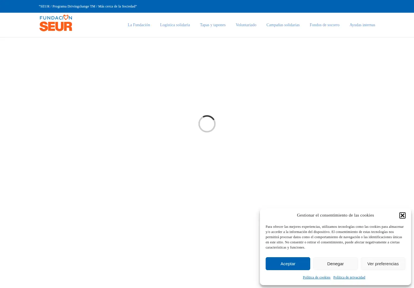 Screenshot of fundacionseur.org