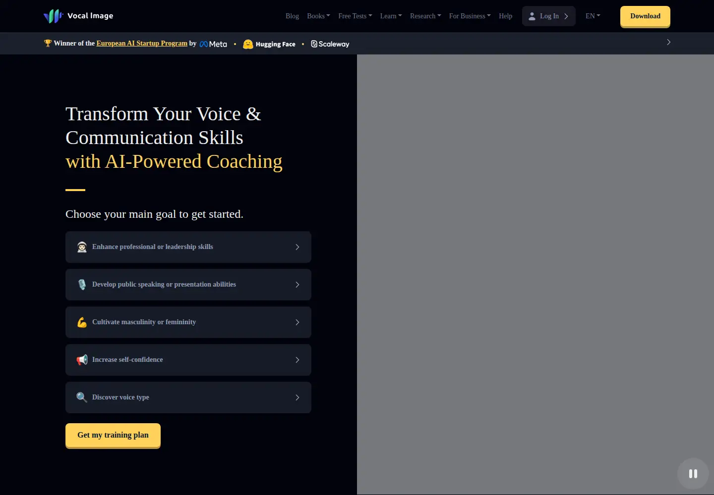 Captured homepage of vocalimage.app in the current scan