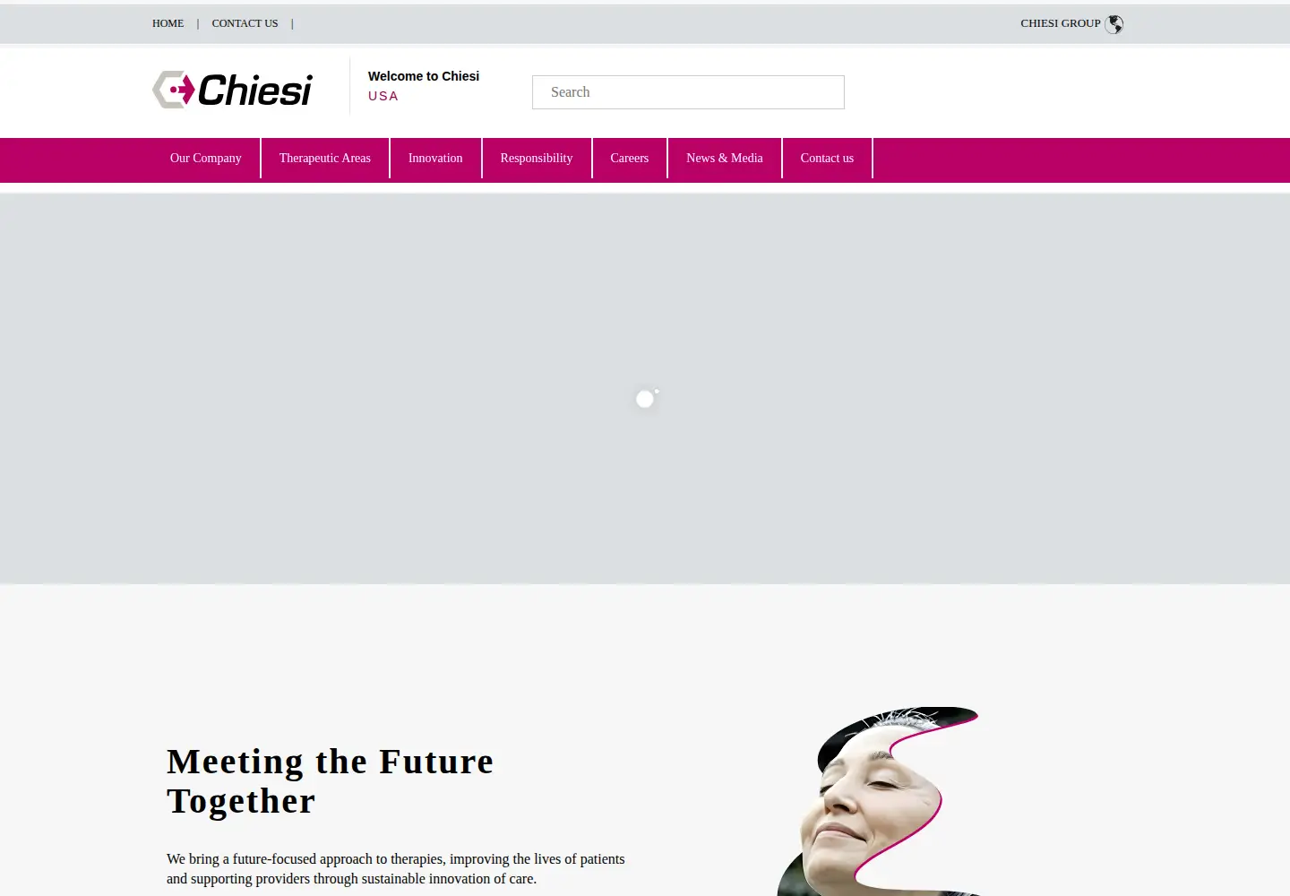 Captured homepage of chiesiusa.com in the current scan