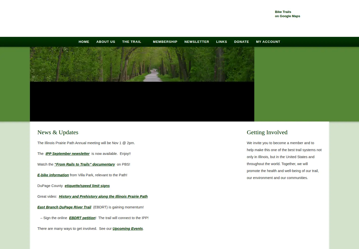 Screenshot of ipp.org