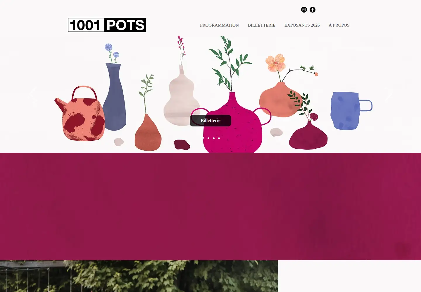 Screenshot of 1001pots.com