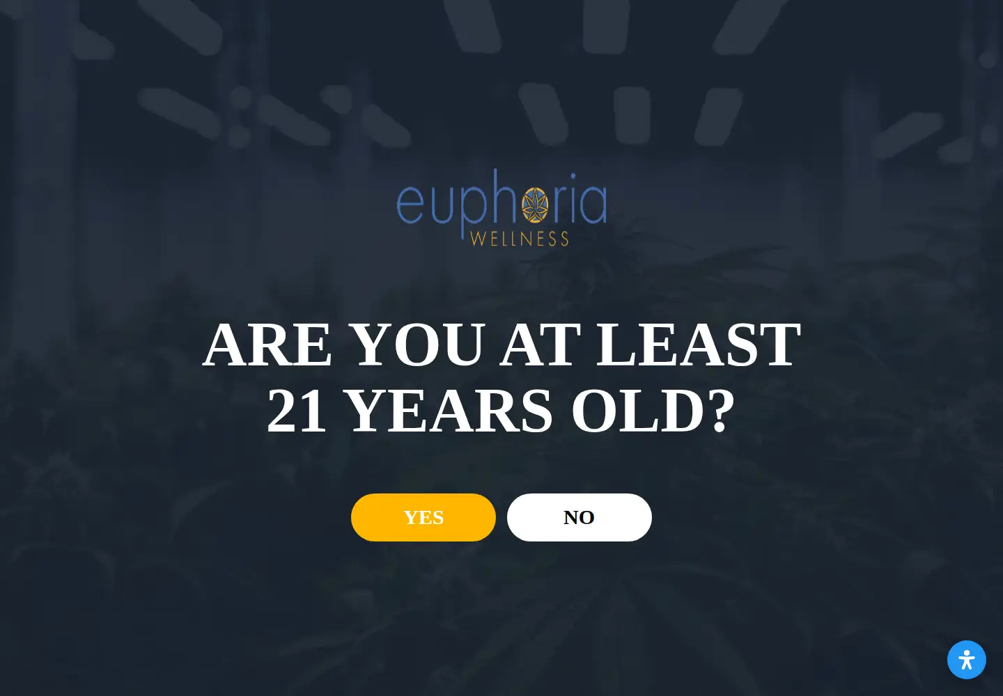 Screenshot of euphoriawellnessnv.com
