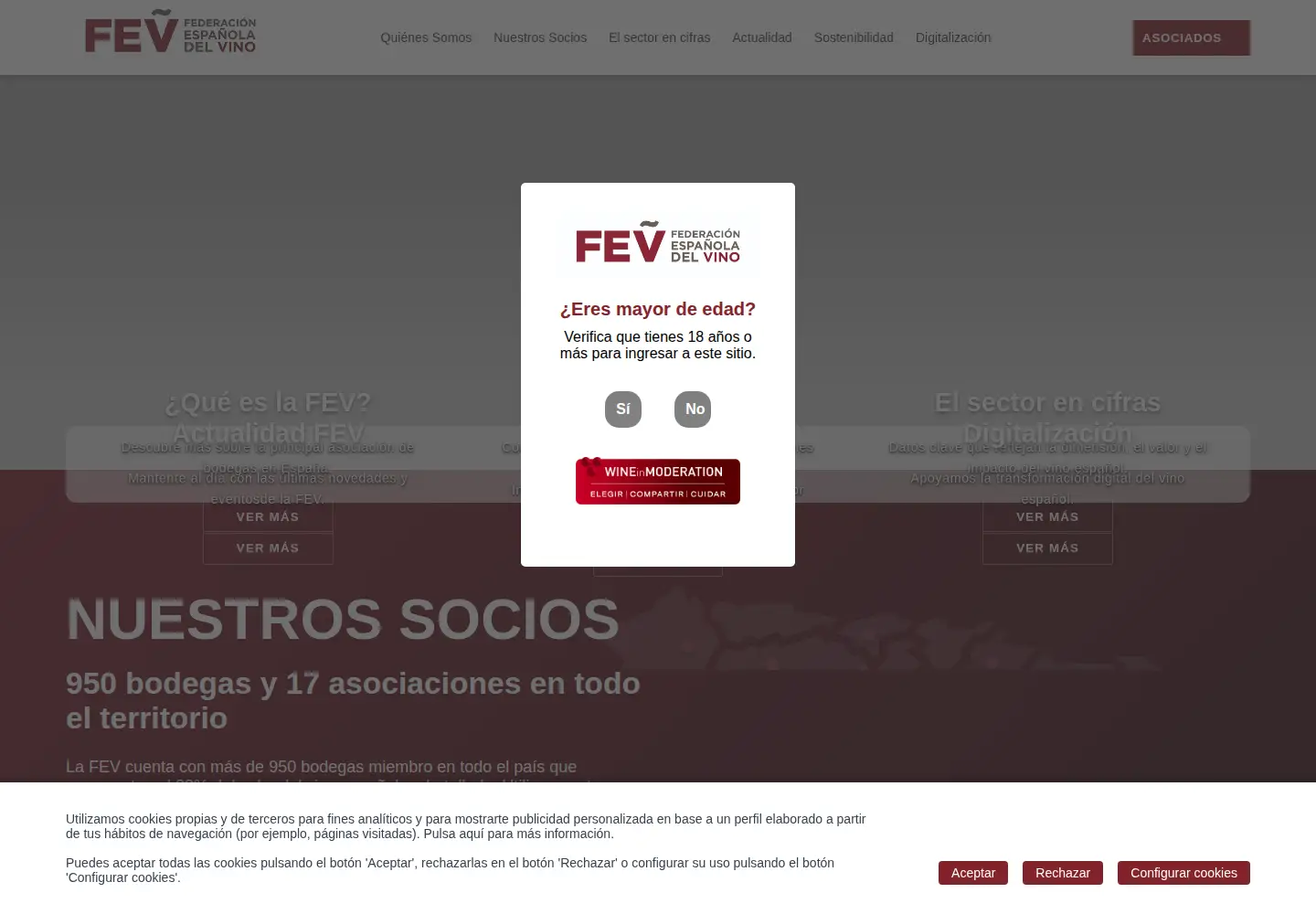 Screenshot of fev.es