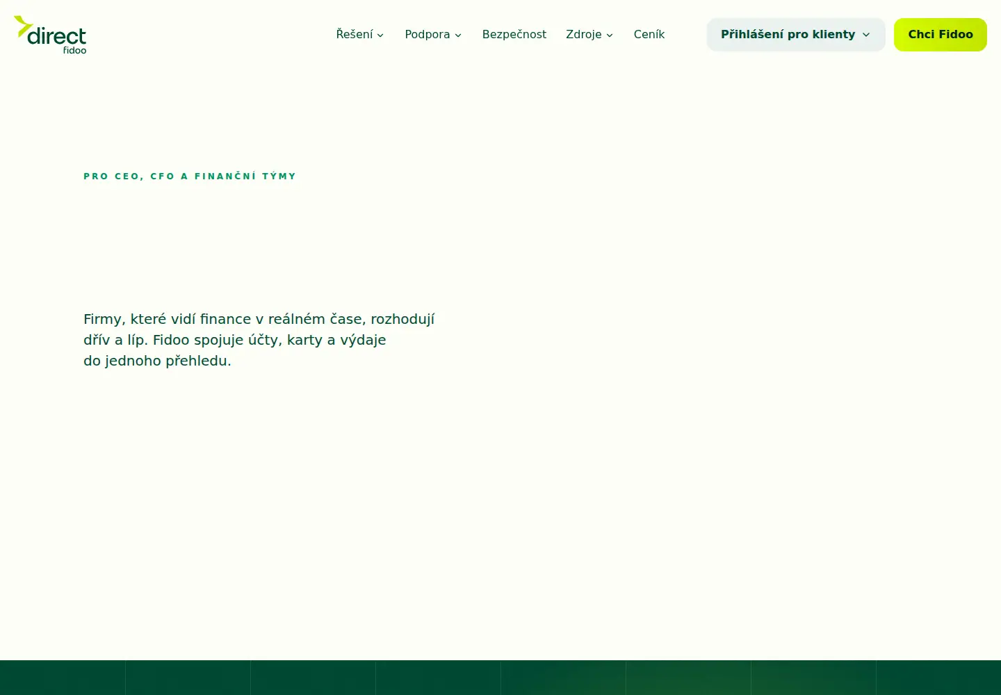 Captured homepage of fidoo.com in the current scan