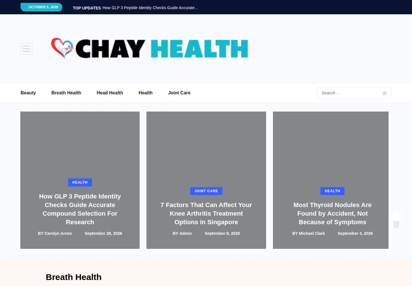 Screenshot of chayhealth.com