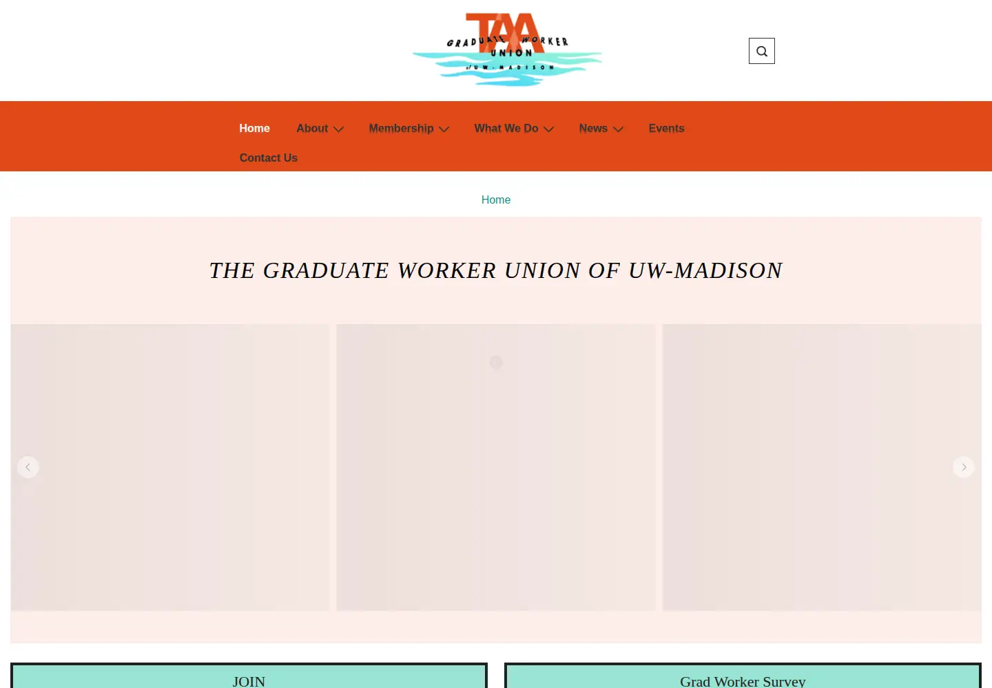 Screenshot of taa-madison.org