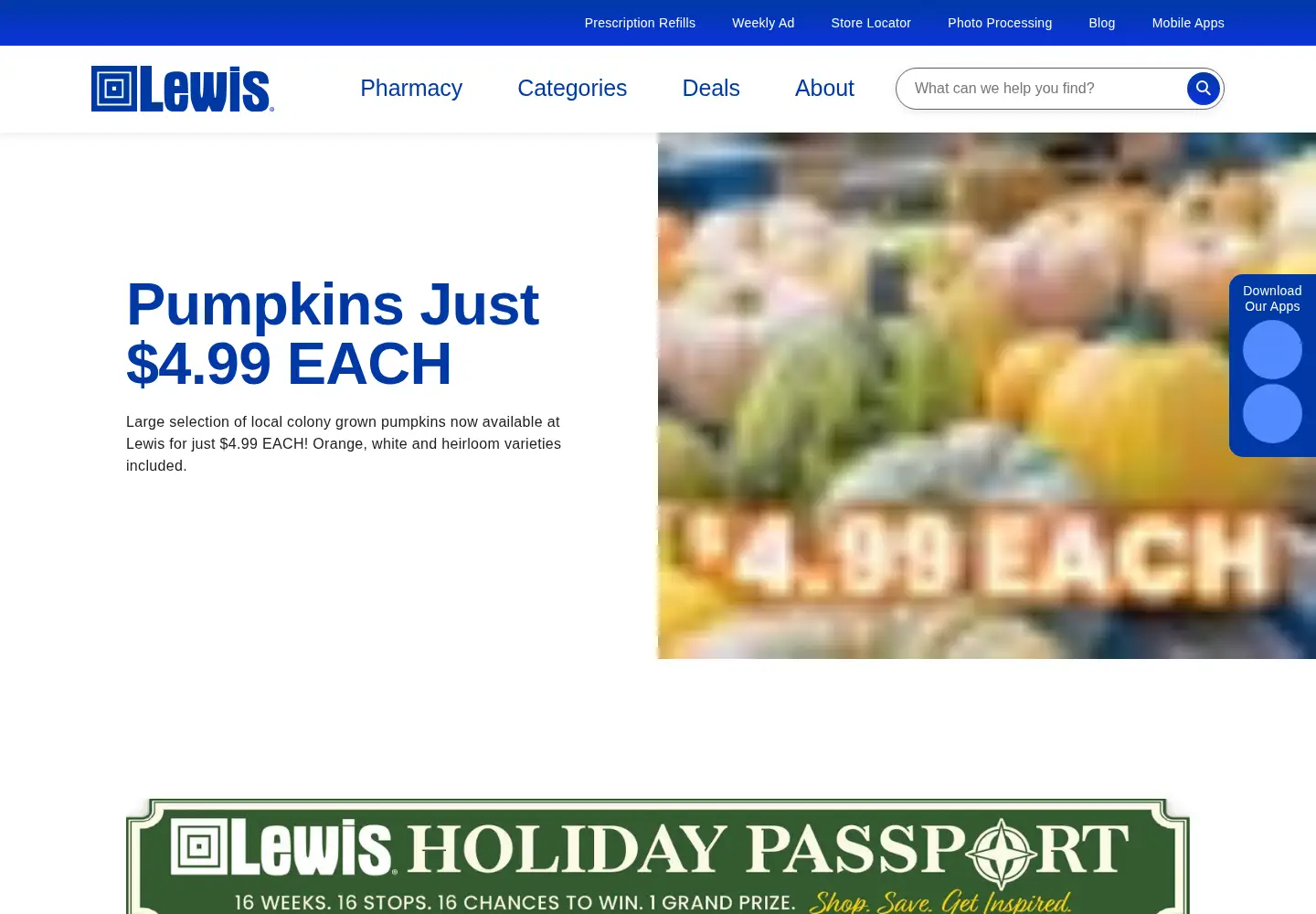 Screenshot of lewisdrug.com