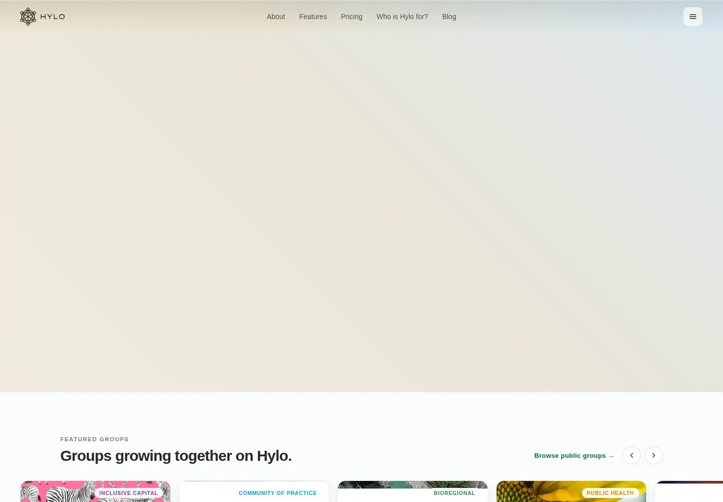 Captured homepage of hylo.com in the current scan