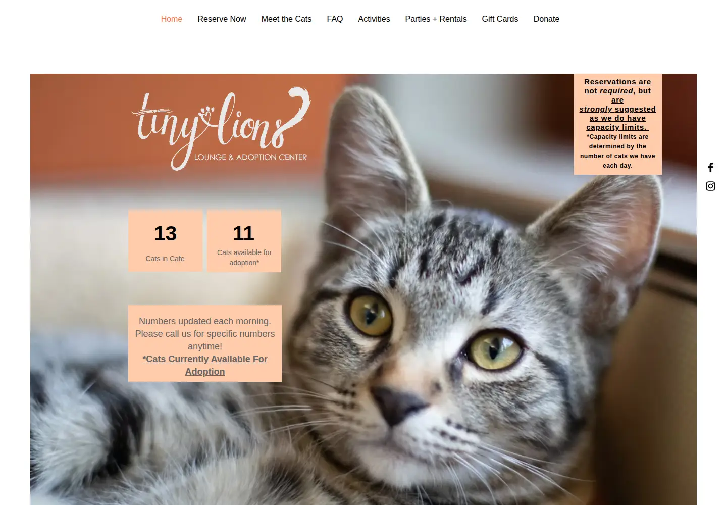Screenshot of tinylions.org