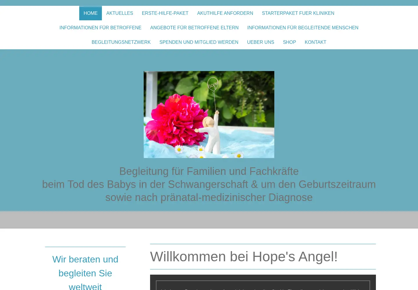 Captured homepage of hopesangel.com in the current scan