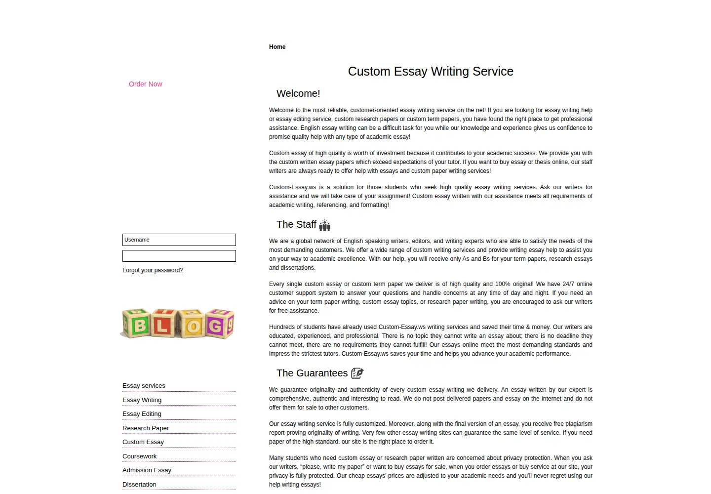 Captured homepage of custom-essay.ws in the current scan