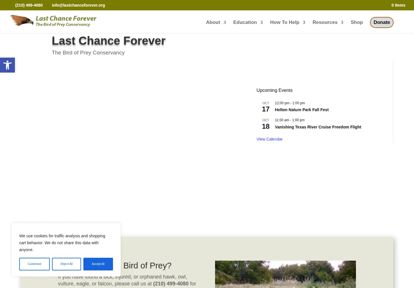 Captured homepage of lastchanceforever.org in the current scan
