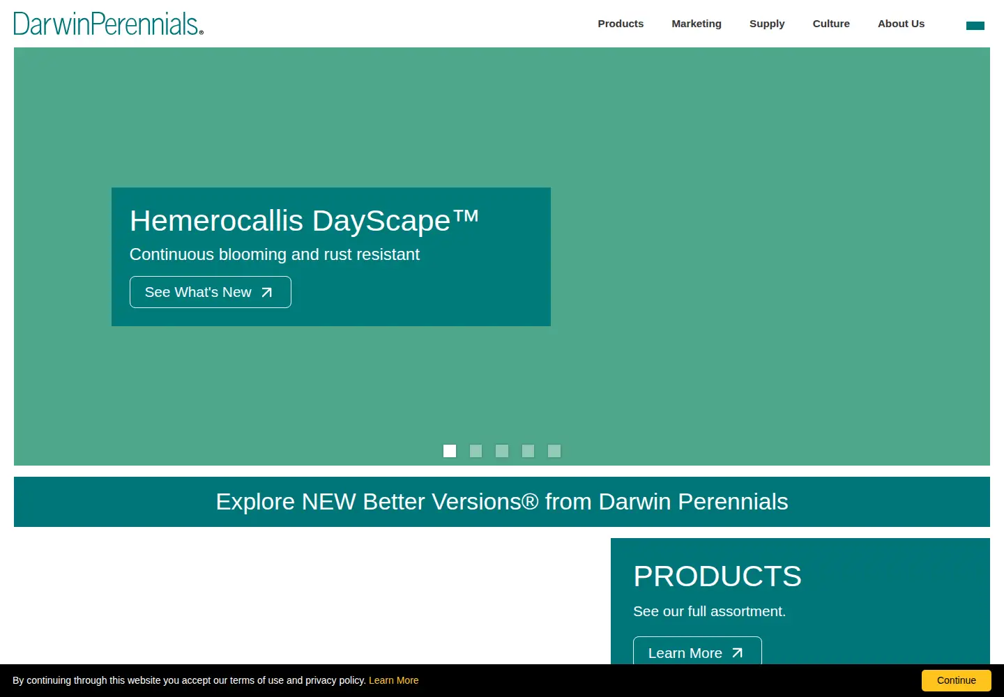 Captured homepage of darwinperennials.com in the current scan
