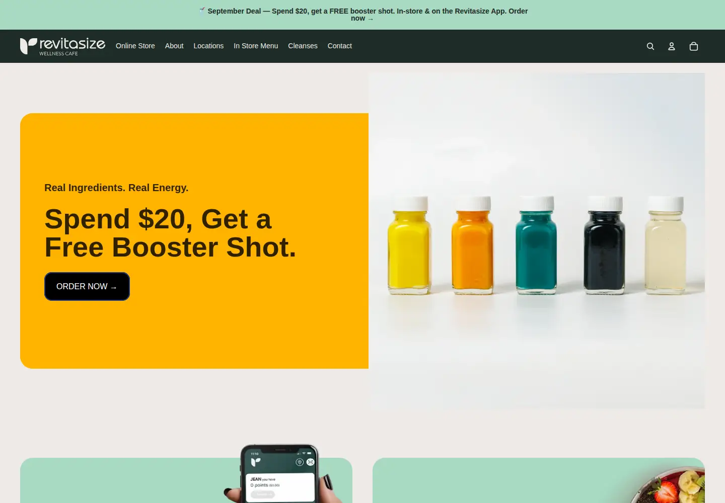 Screenshot of revitasize.ca