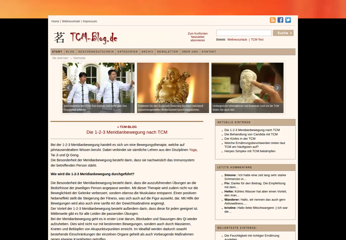 Screenshot of tcm-blog.de