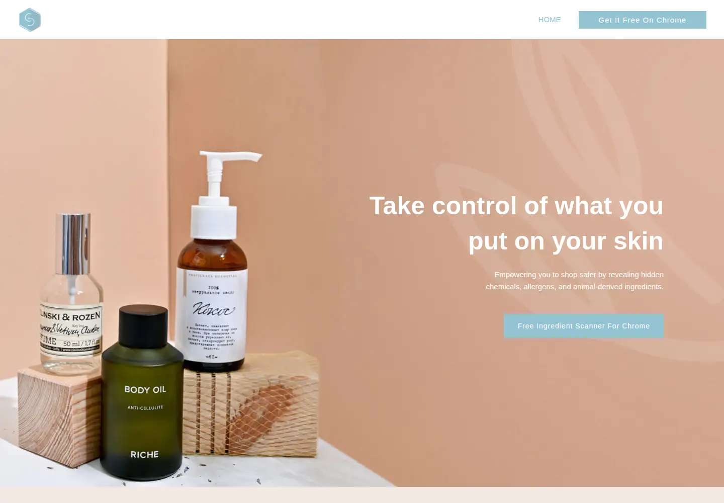 Captured homepage of curiouschloride.com in the current scan