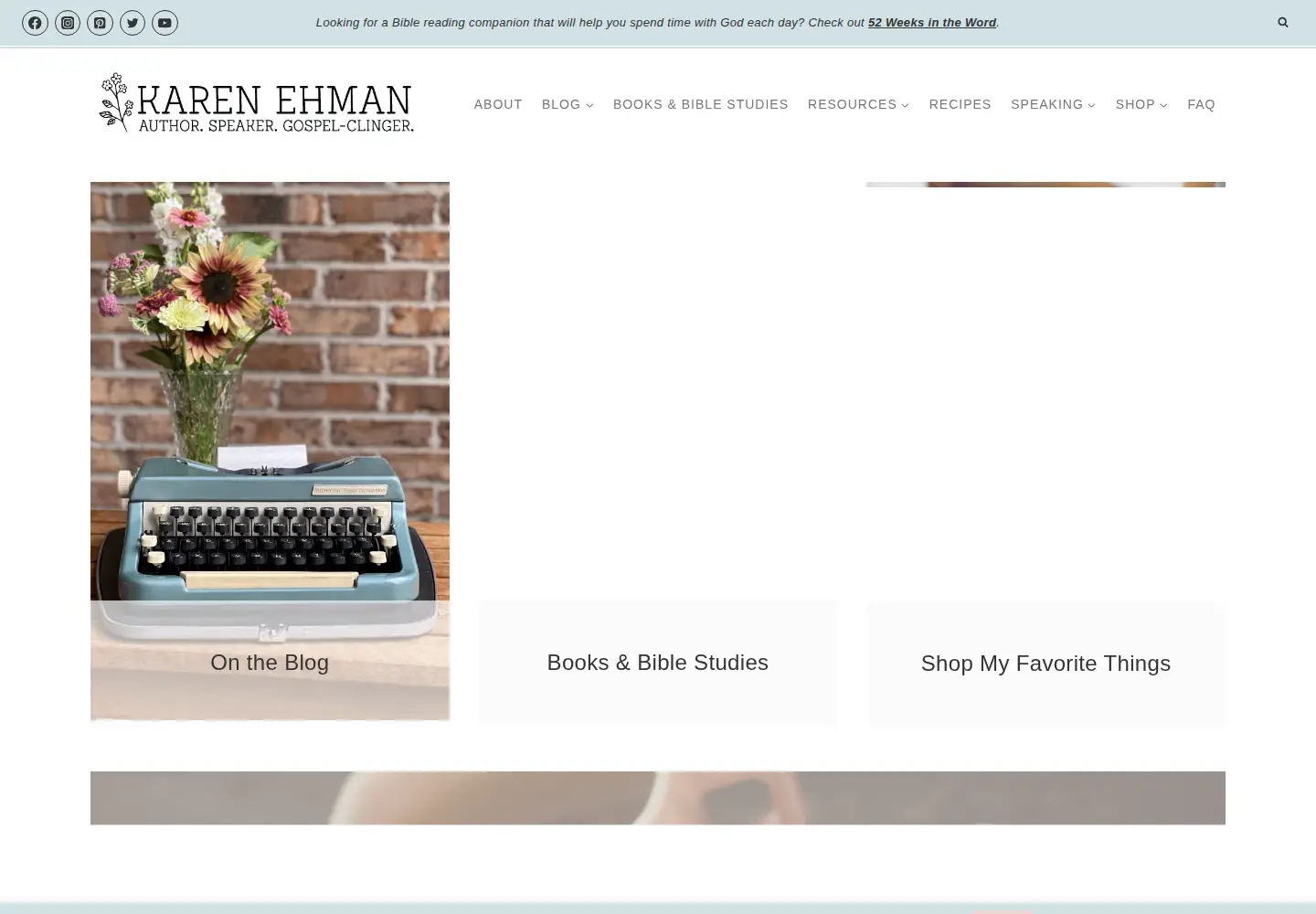 Screenshot of karenehman.com
