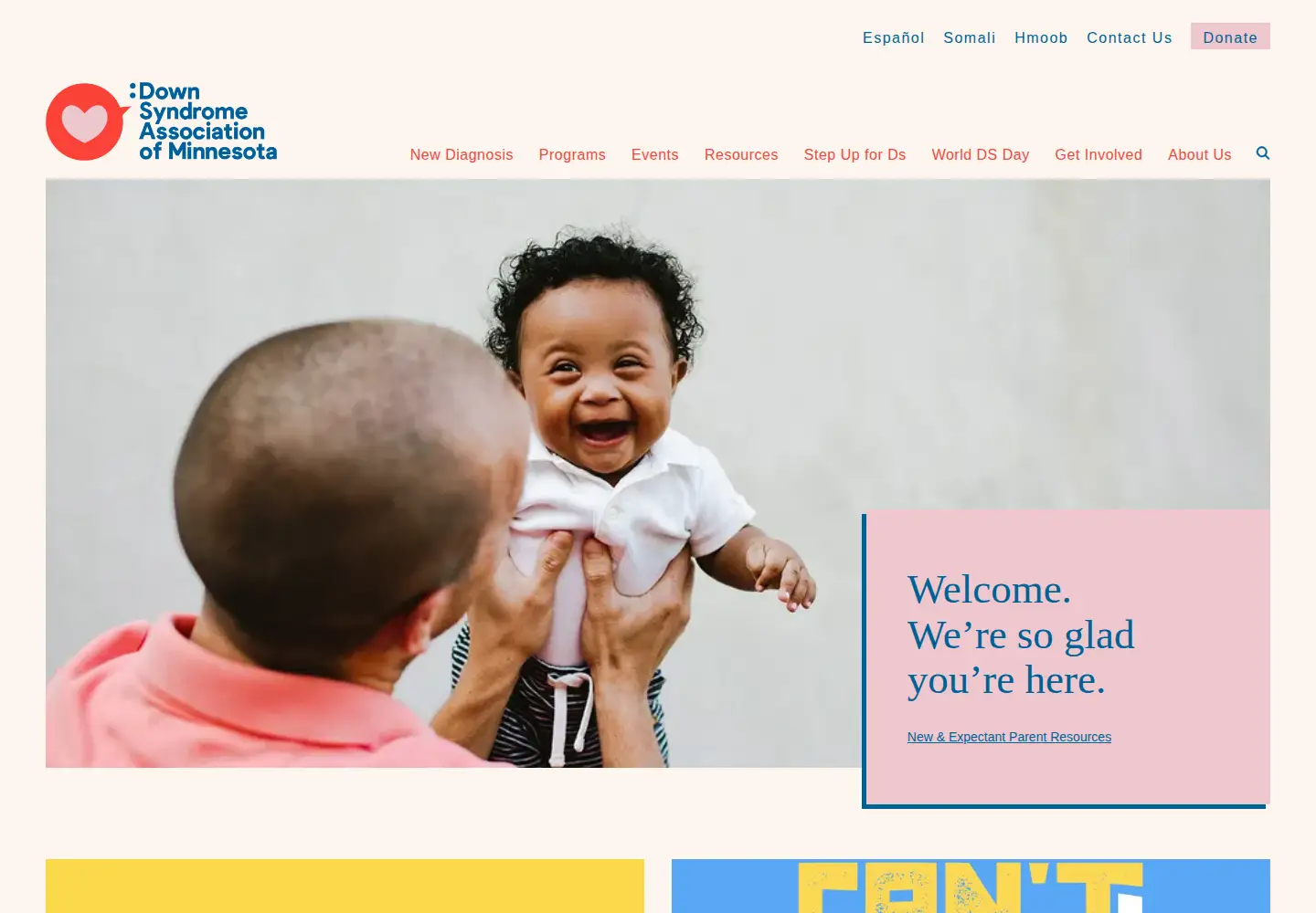 Screenshot of dsamn.org