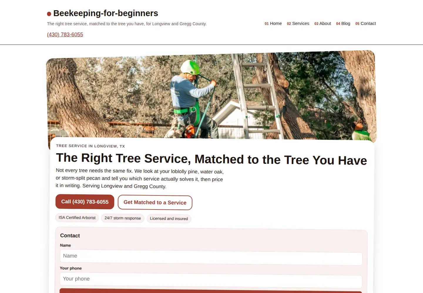 Screenshot of beekeeping-for-beginners.com