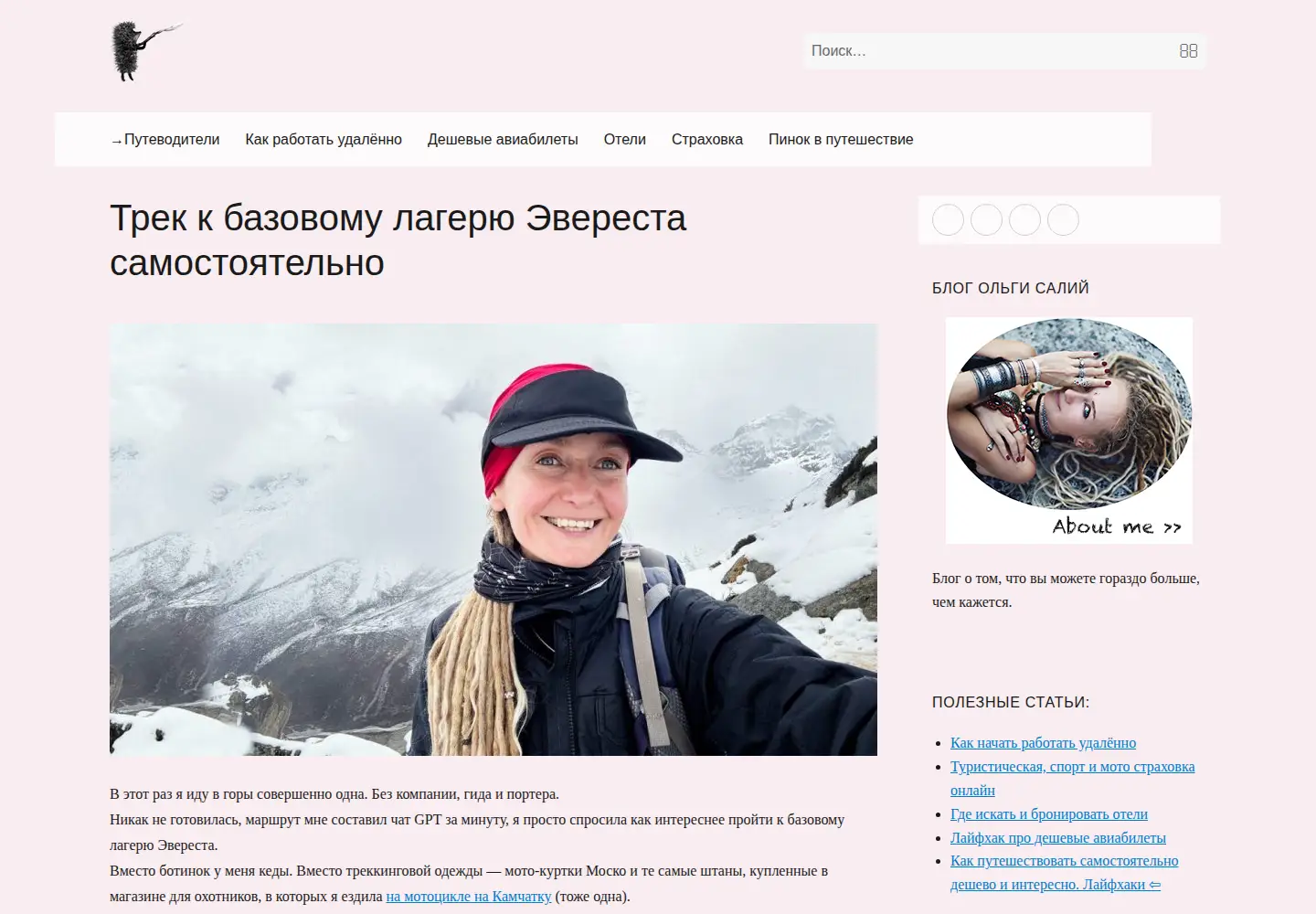 Screenshot of free-writer.ru