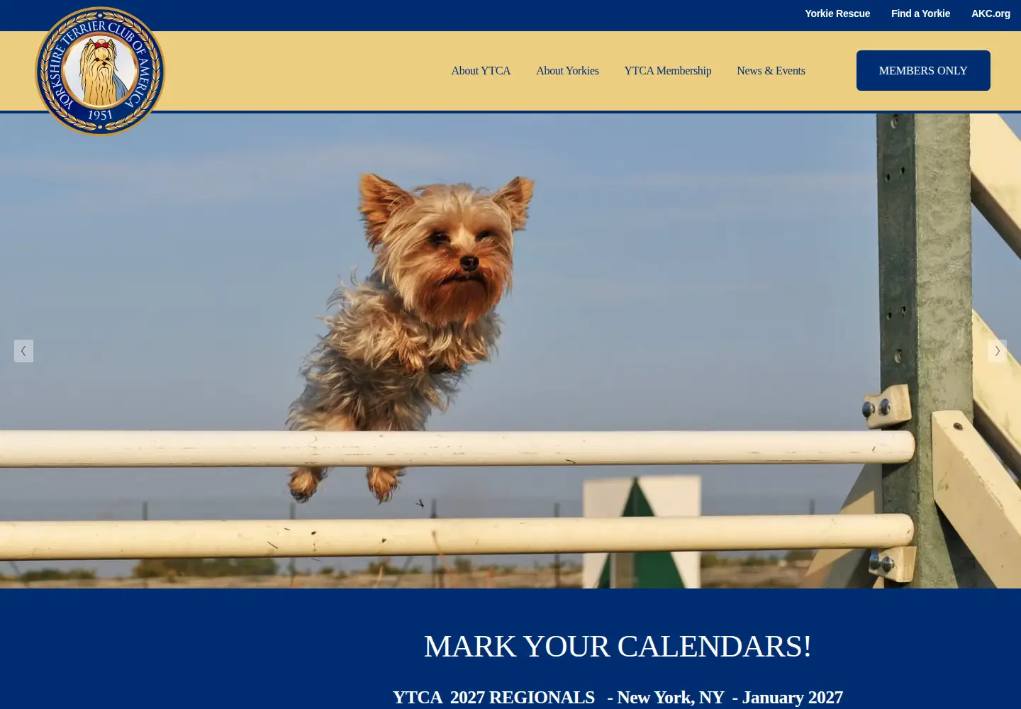 Screenshot of theyorkshireterrierclubofamerica.org