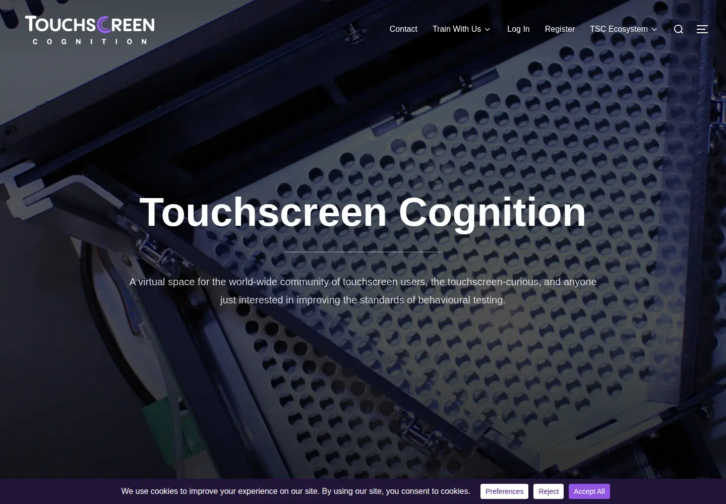 Captured homepage of touchscreencognition.org in the current scan