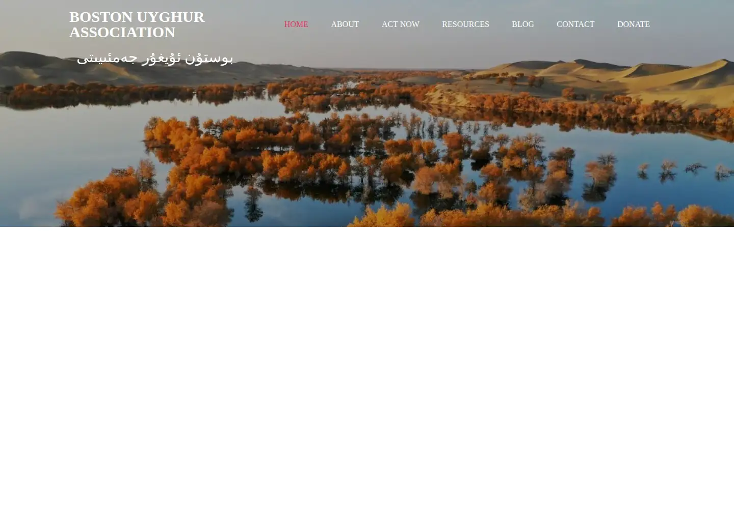 Screenshot of bostonuyghur.org
