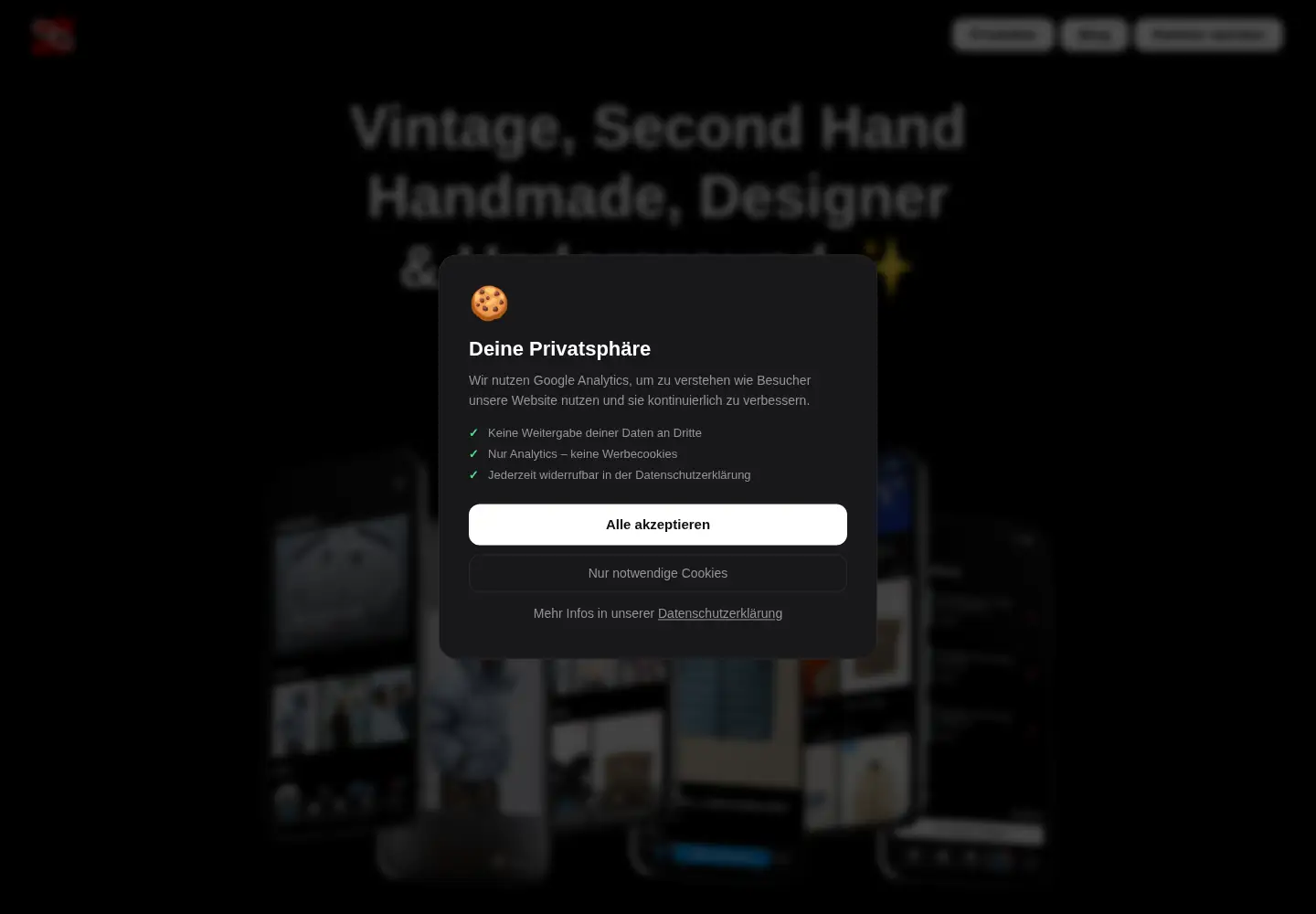 Captured homepage of zeitgeist-marketplace.de in the current scan