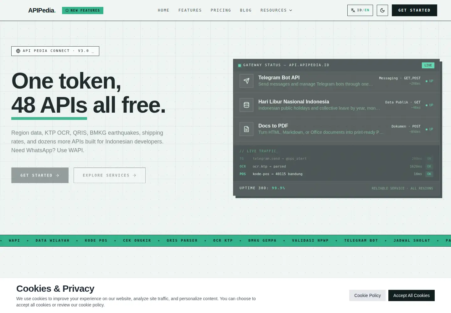 Screenshot of apipedia.id