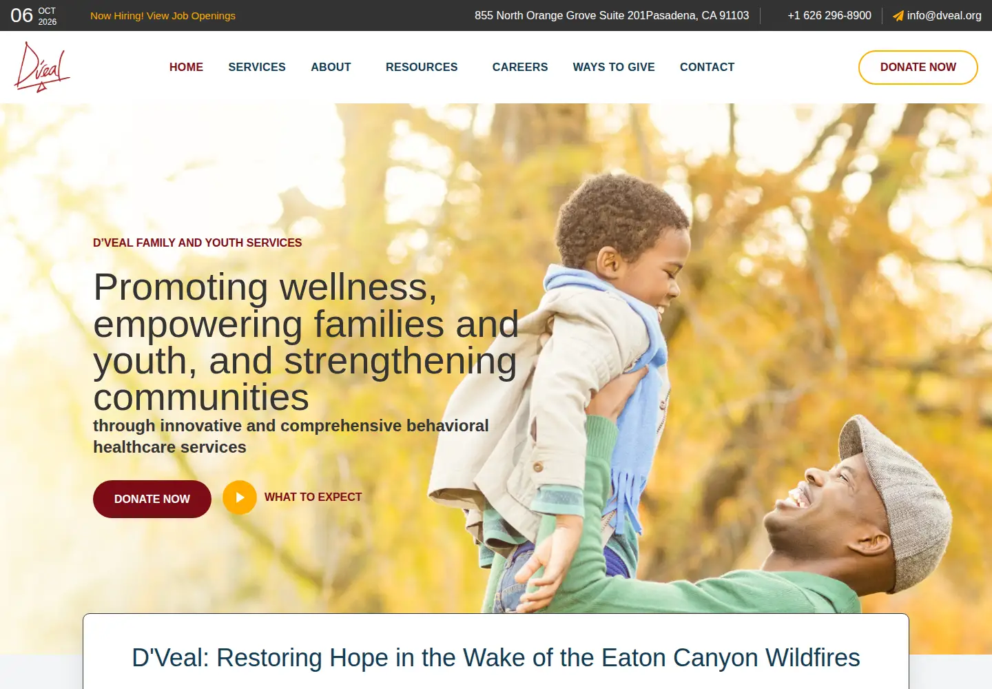 Captured homepage of dveal.org in the current scan