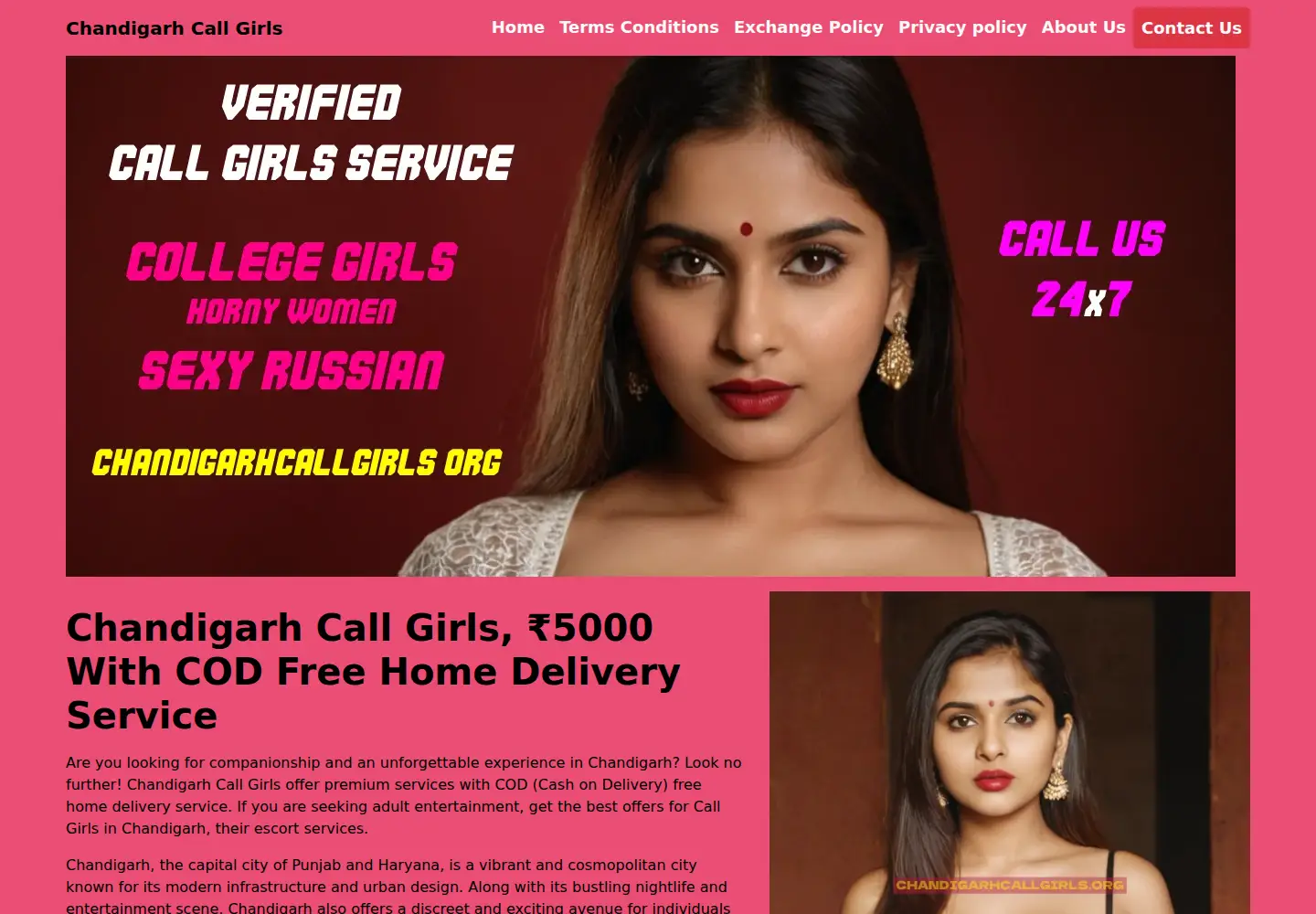 Screenshot of chandigarhcallgirls.org