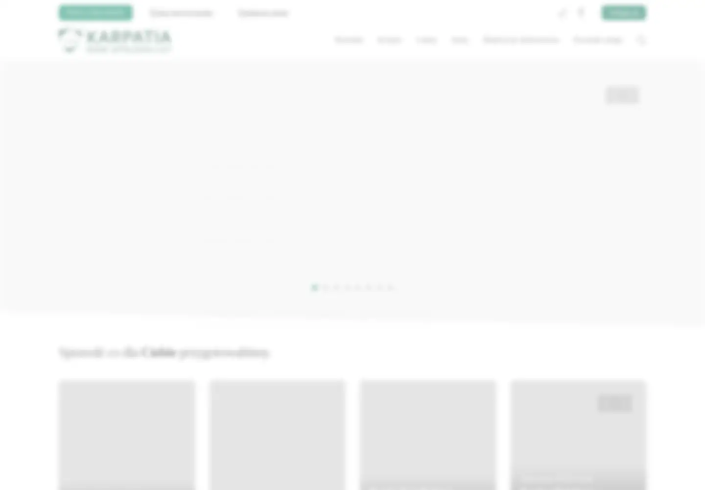 Screenshot of karpatiabs.pl