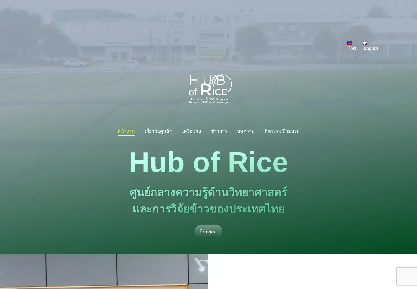Screenshot of thailandricehub.org