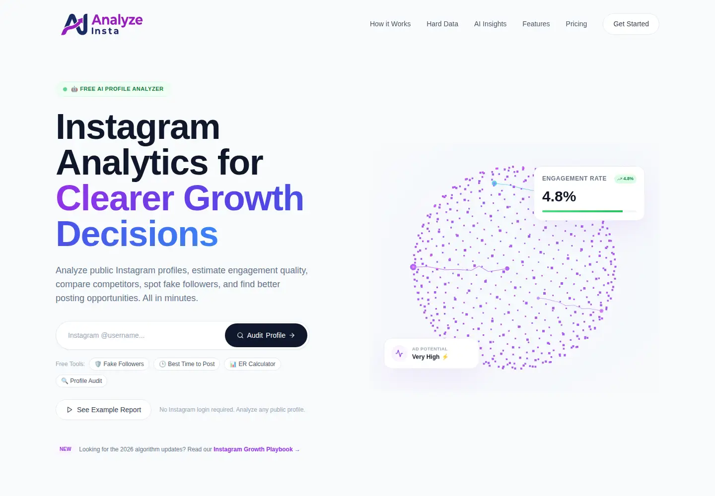 Captured homepage of analyzeinsta.com in the current scan