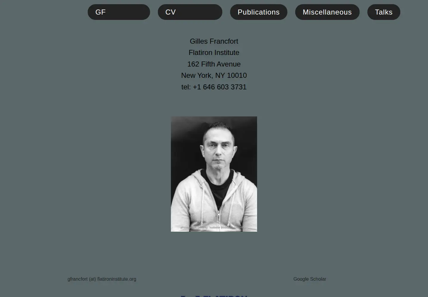 Screenshot of gillesfrancfort.com