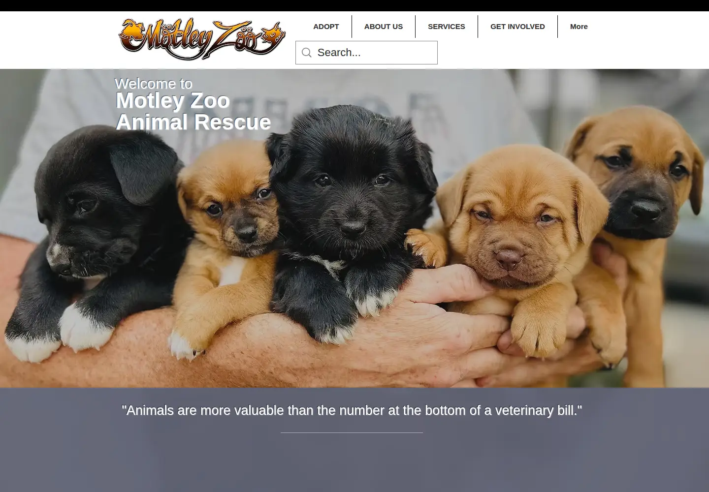 Screenshot of motleyzooanimalrescue.org